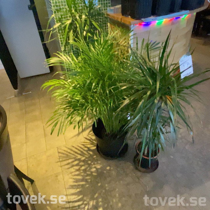 Slider image 0