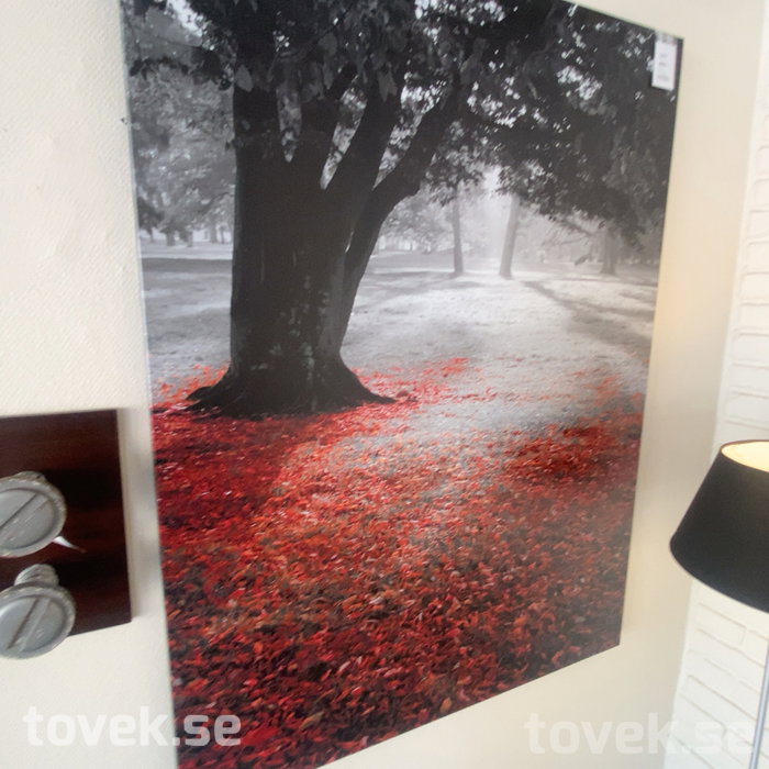 Slider image 10