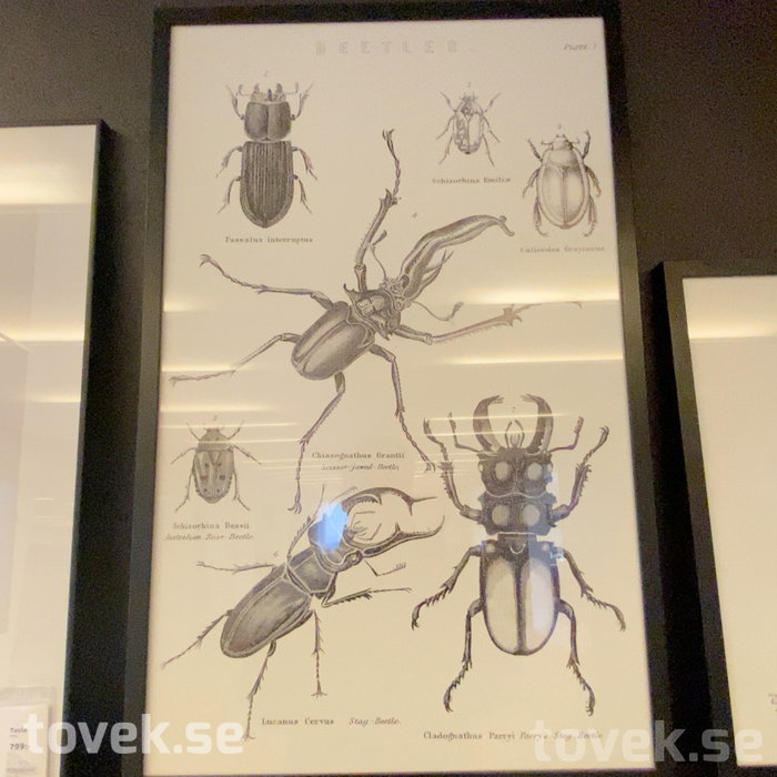 Slider image 14