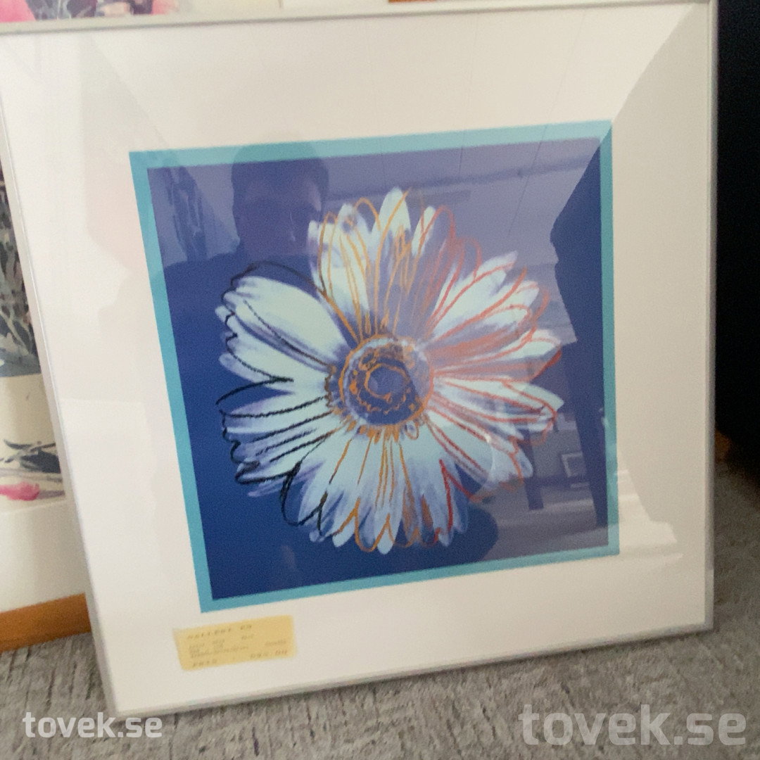 Slider image 15