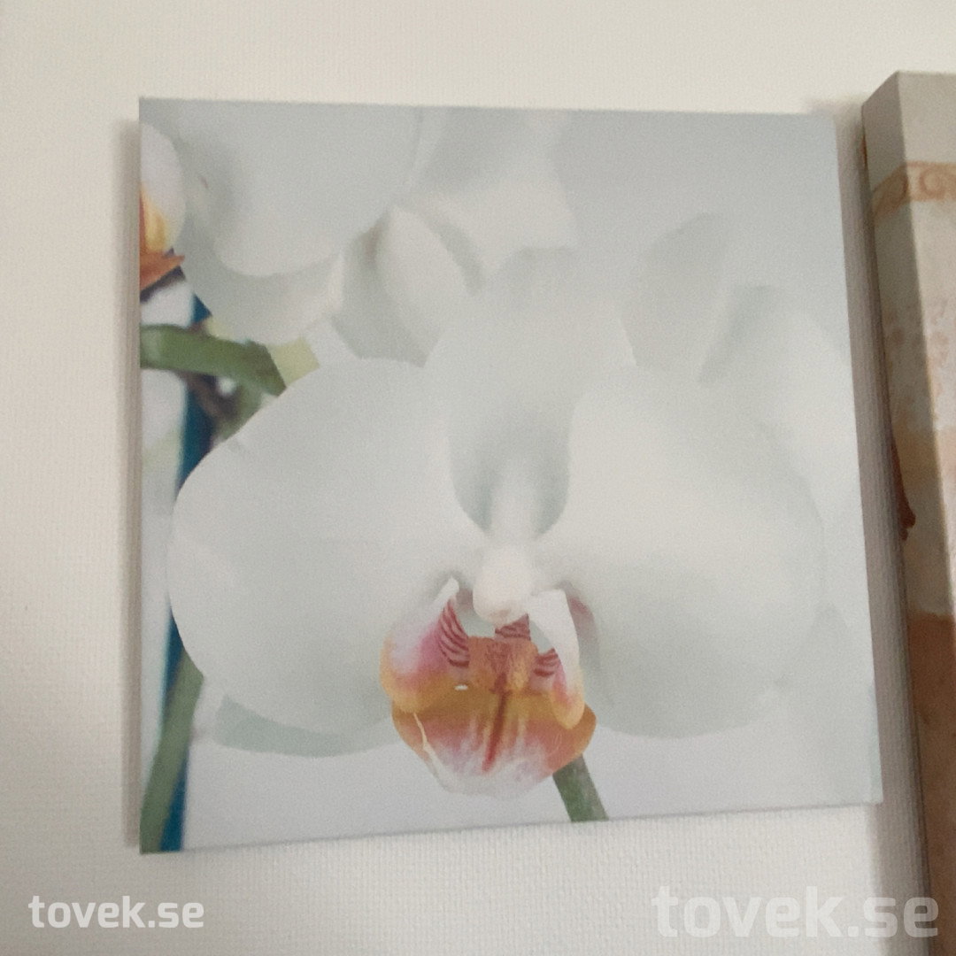 Slider image 1