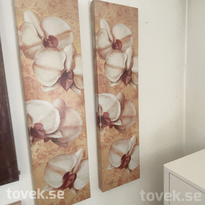 Slider image 3