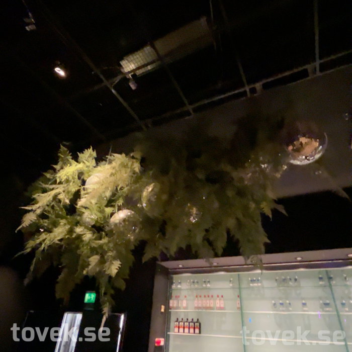 Slider image 0