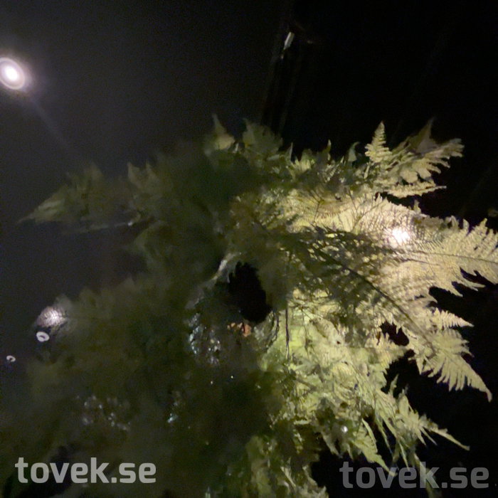 Slider image 7