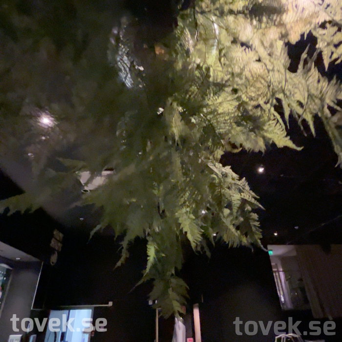 Slider image 8