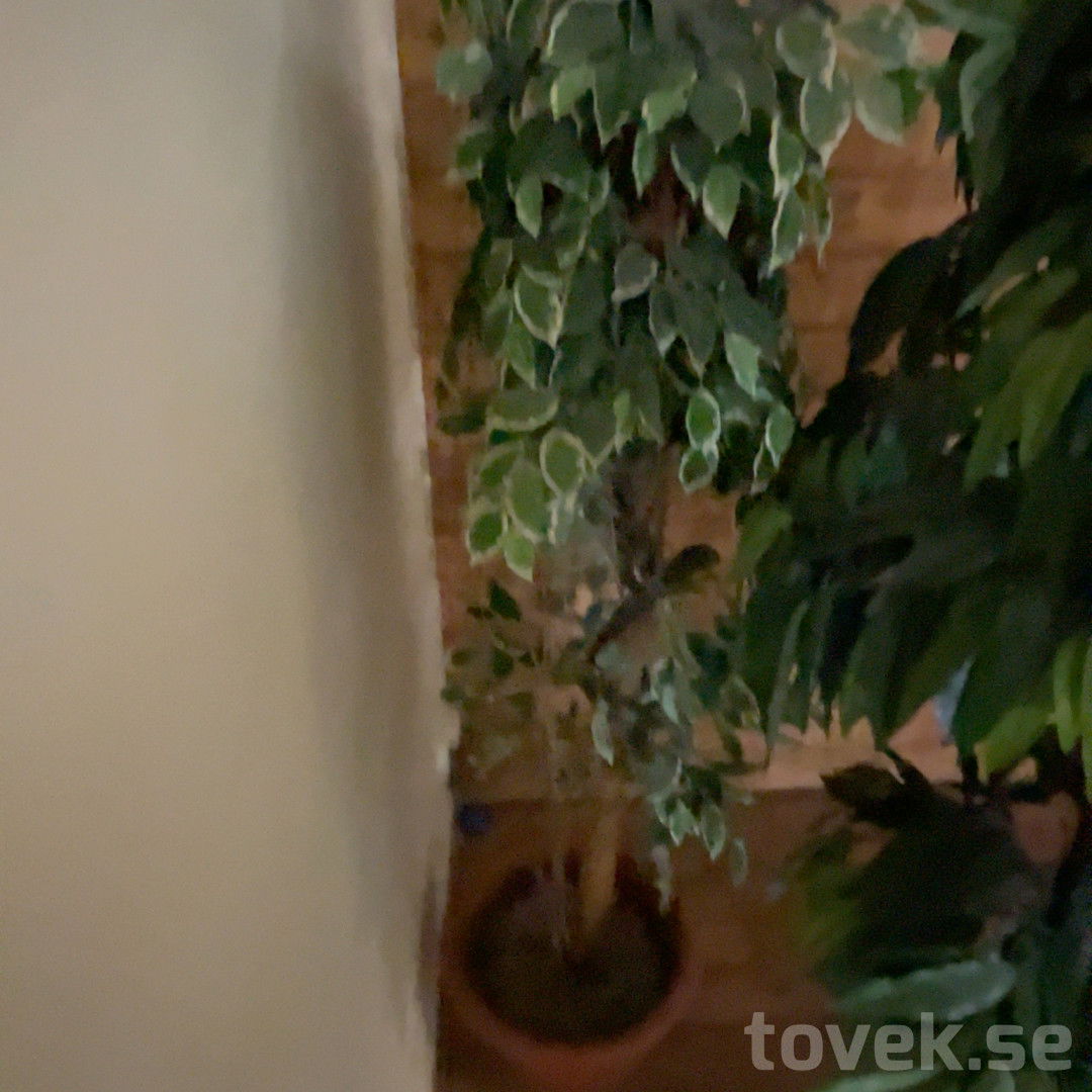 Slider image 6