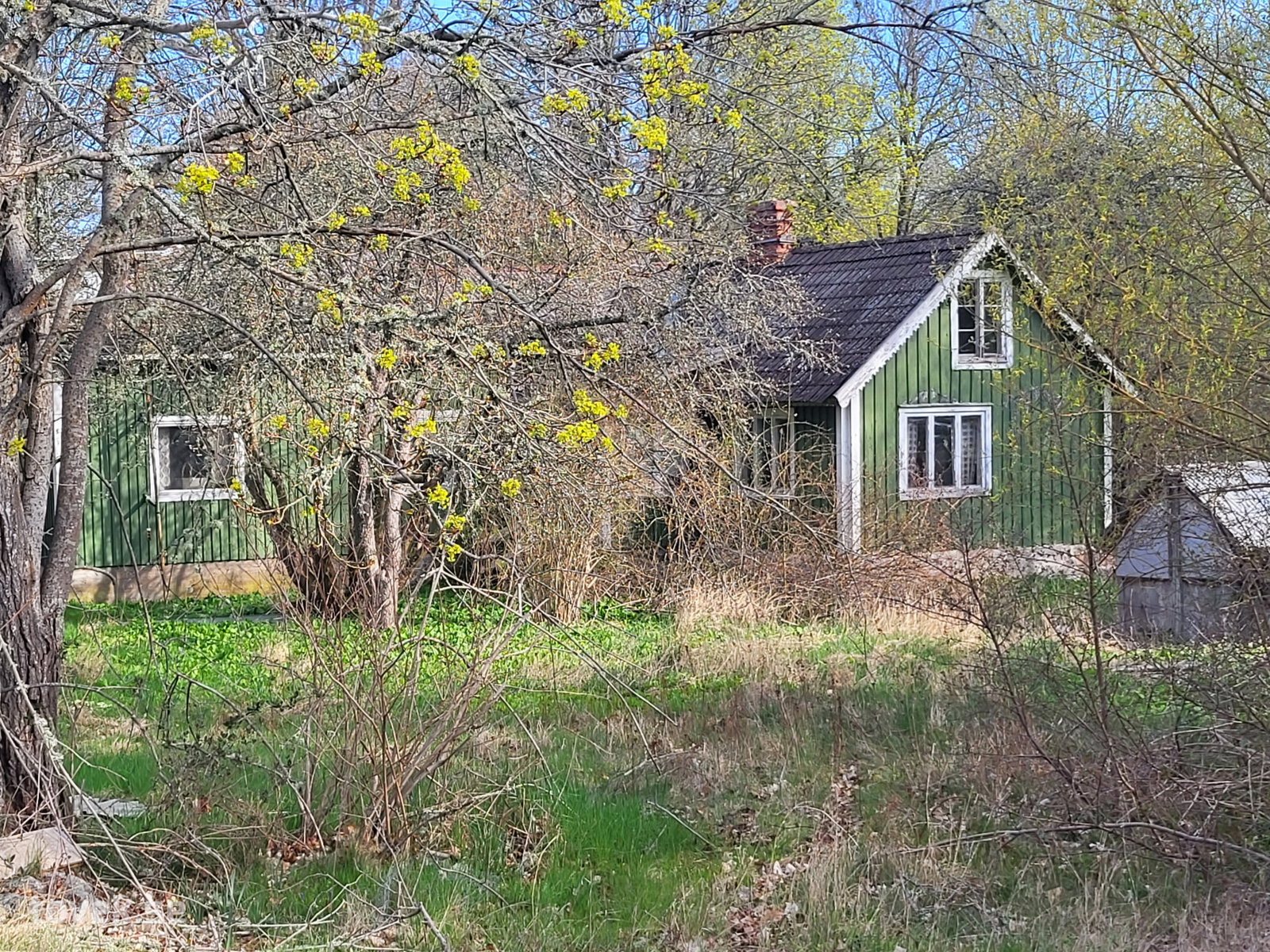 Slider image 21