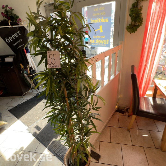 Slider image 0