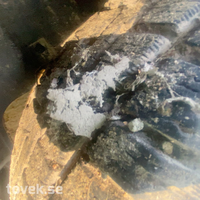 Slider image 10