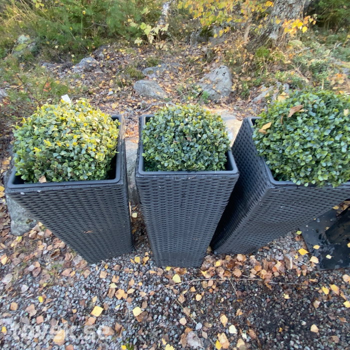 Slider image 7