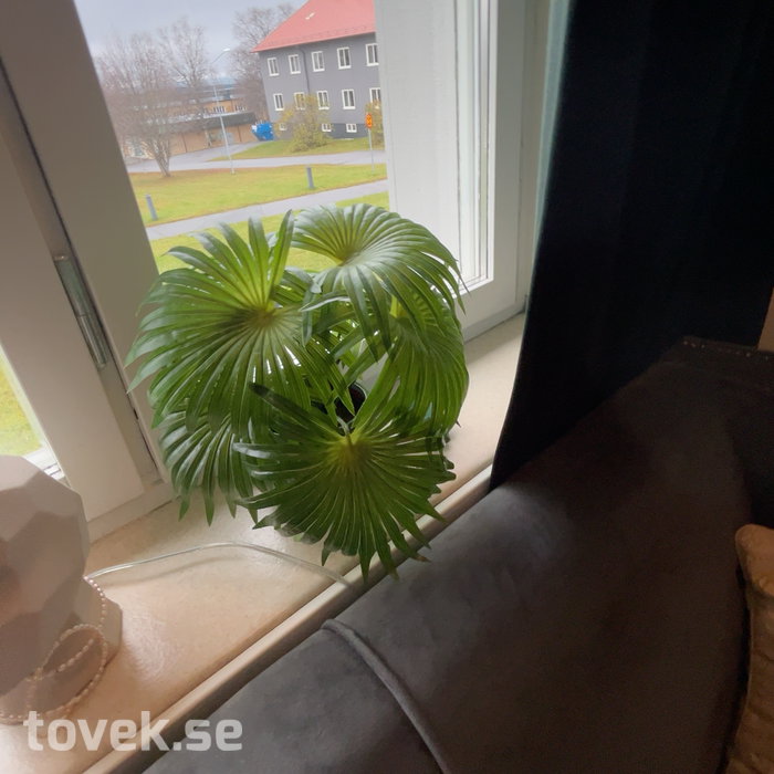 Slider image 12
