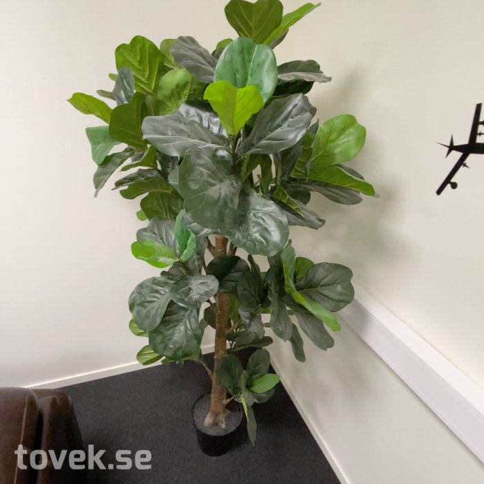 Slider image 12