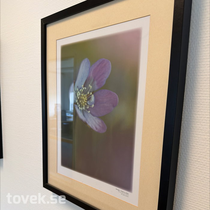 Slider image 4