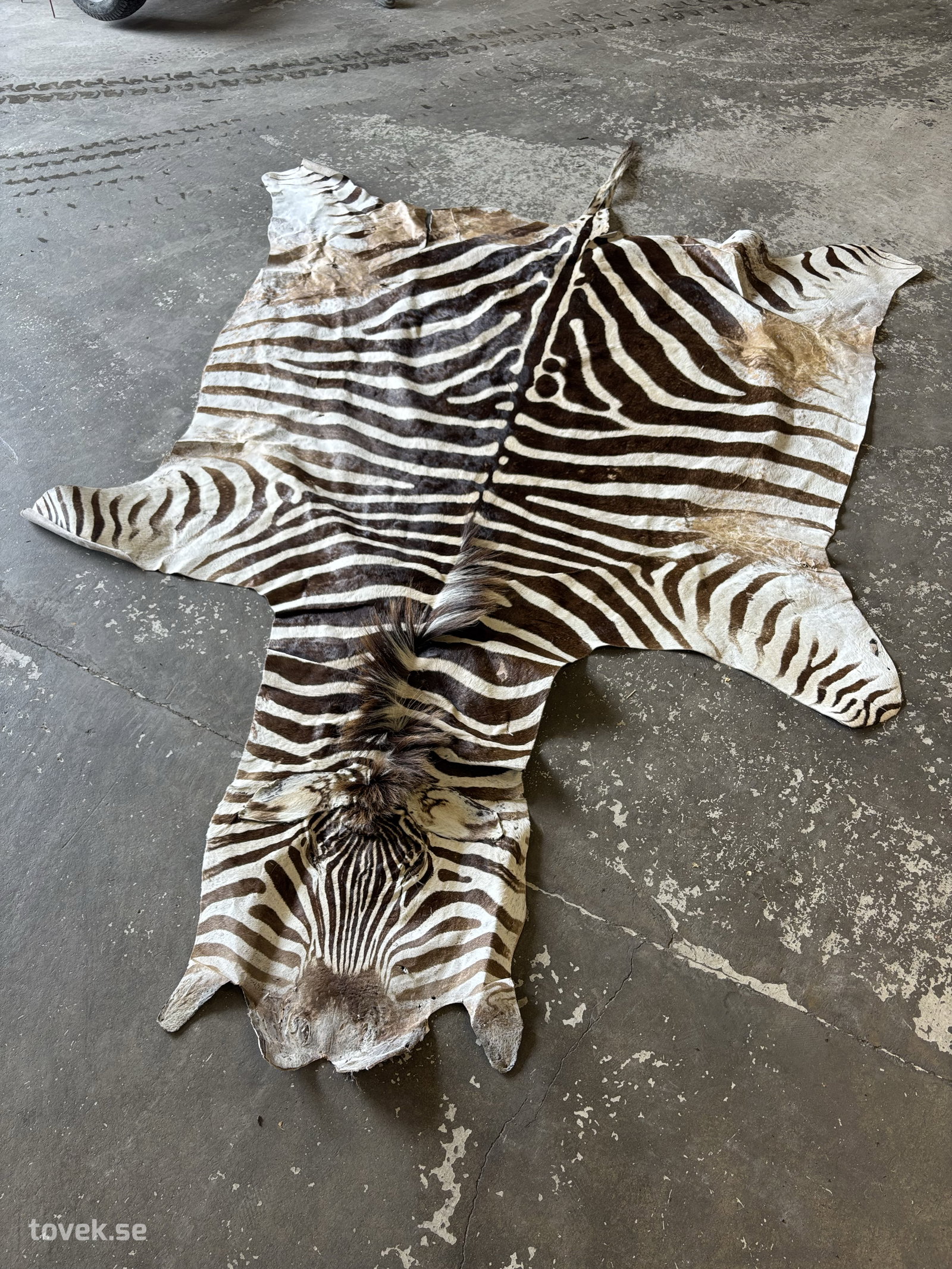 Matta Zebra 280x200 (äkta)
