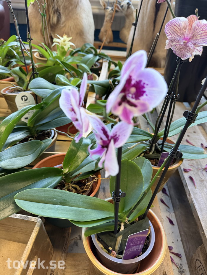 Slider image 1